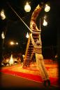 le chant du dindon 058 * 2912 x 4368 * (6.9MB)